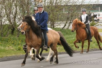 Vígsla Reiðhallar