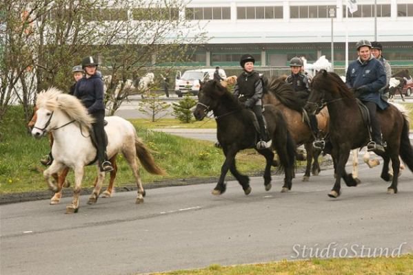 Vígsla Reiðhallar