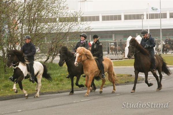 Vígsla Reiðhallar