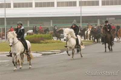 Vígsla Reiðhallar