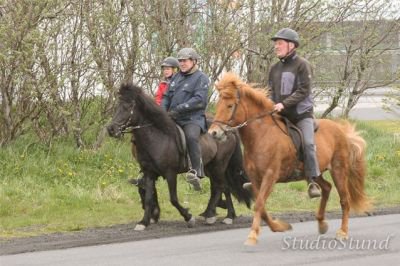 Vígsla Reiðhallar