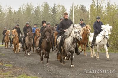 Vígsla Reiðhallar