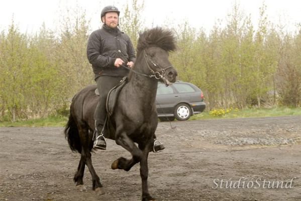 Vígsla Reiðhallar