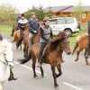 Vígsla Reiðhallar